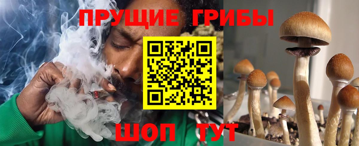 Псилоцибиновые грибы GOLDEN TEACHER Новороссийск