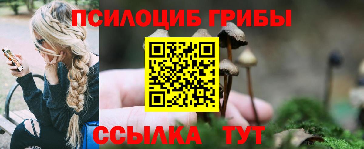 Галлюциногенные грибы Psilocybe  цена   Псилоцибиновые грибы GOLDEN TEACHER  Новороссийск  Вход с VPN 